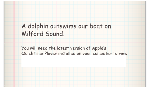 A dolphin outswims our boat on Milford Sound.

You will need the latest version of Apple’s QuickTime Player installed on your computer to view the above video. Click here to download QuickTime Player.