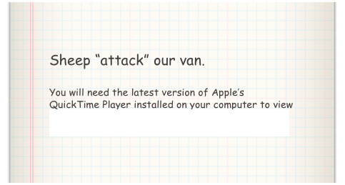 Sheep “attack” our van.

You will need the latest version of Apple’s QuickTime Player installed on your computer to view the above video. Click here to download QuickTime Player.